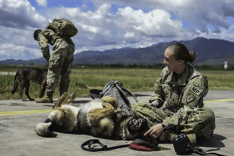 U.S. Army Spc. Mariah Ridge, a military working dog handler assigned to Joint Task Force-Bravo’s Joint Security Forces, laughs at her military working dog, Jaska, during K9 hoist evacuation training