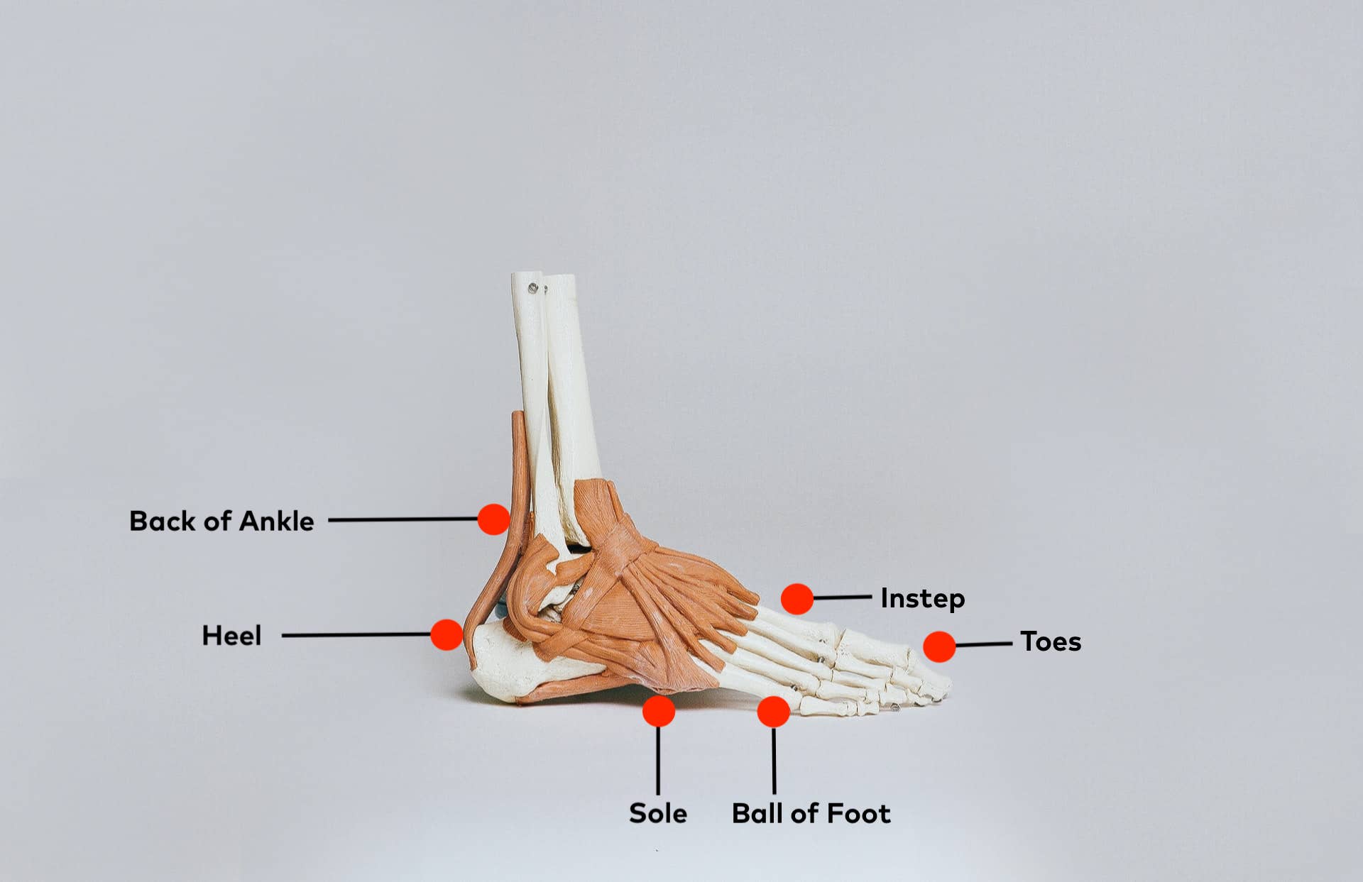 How To Avoid Ruck March Blisters Ruck For Miles